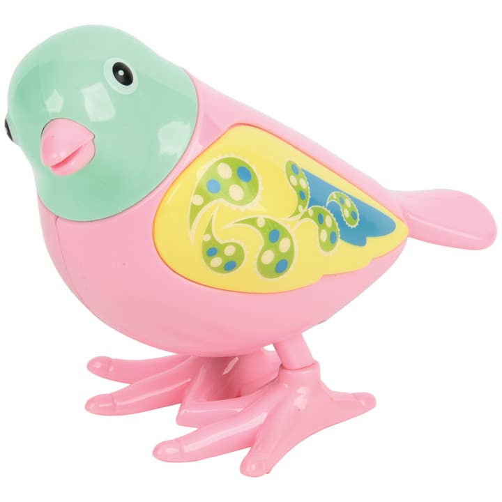 US Toy Company - Wholesale Wind-Up Toy - Kids - Wind Up Birds 12-Unit Display2