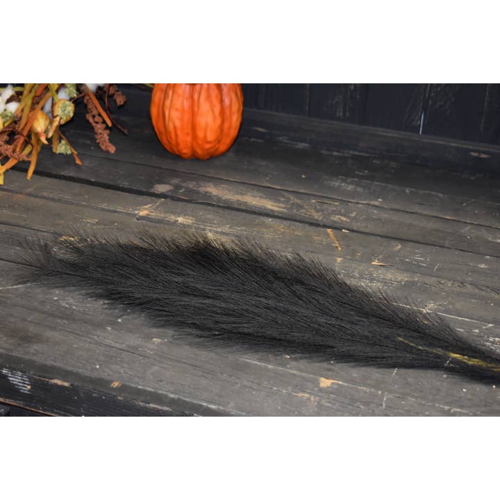 Wholesale Home Decor - Wholesale Dried/Pressed Flowers - Black Pampas with 11 stems 43in