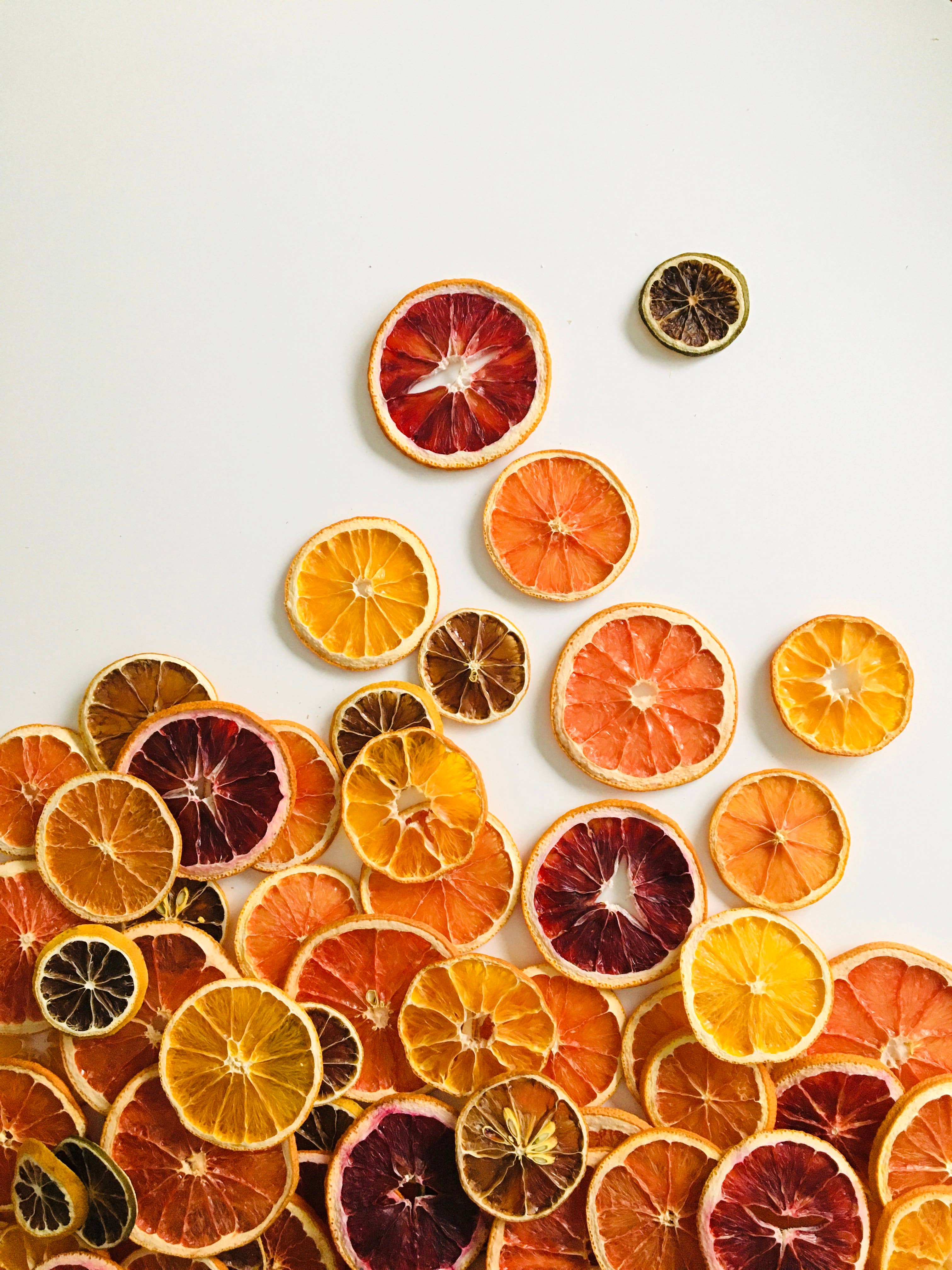 FreshDried – Großhandel Getrocknete/dehydrierte Früchte – Citrus Sensation Mix – 8er Zitrusfrüchte-Mischung1