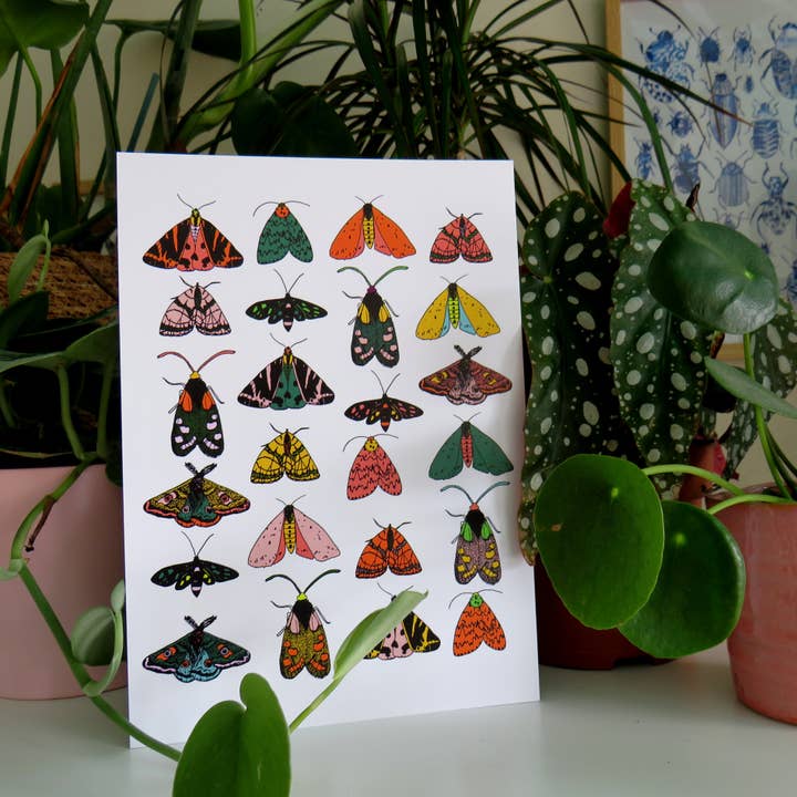 Moth Prints in A5, A4 and A3 for wholesale by Kathryn Churn Designs