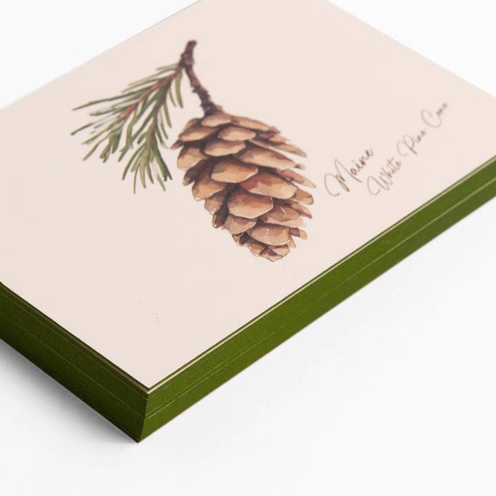 Maine Witte Dennenappel - Doos met 6 Ansichtkaarten voor wholesale door Saltbox & Company