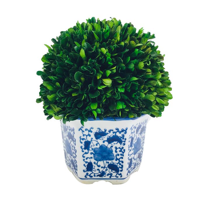 Galt International Company - Vendita all'ingrosso Piante artificiali - Topiaria a forma di palla di bosso in vaso esagonale in ceramica blu e bianca