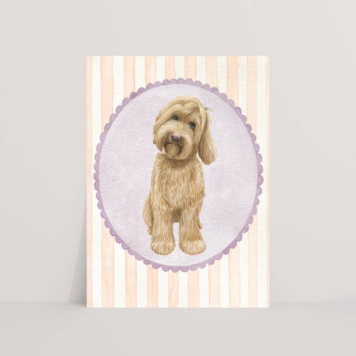 Vykort med labradoodle för wholesale av Appeloogje