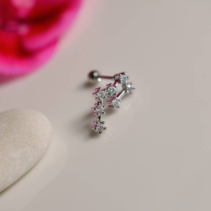 StockJWL - Wholesale Stud/Post Earrings - 12 Zodiac Earrings, Constellation Stud Earring Stud Piercing Tragus Helix Lobe and Cartilage Silver And Gold17