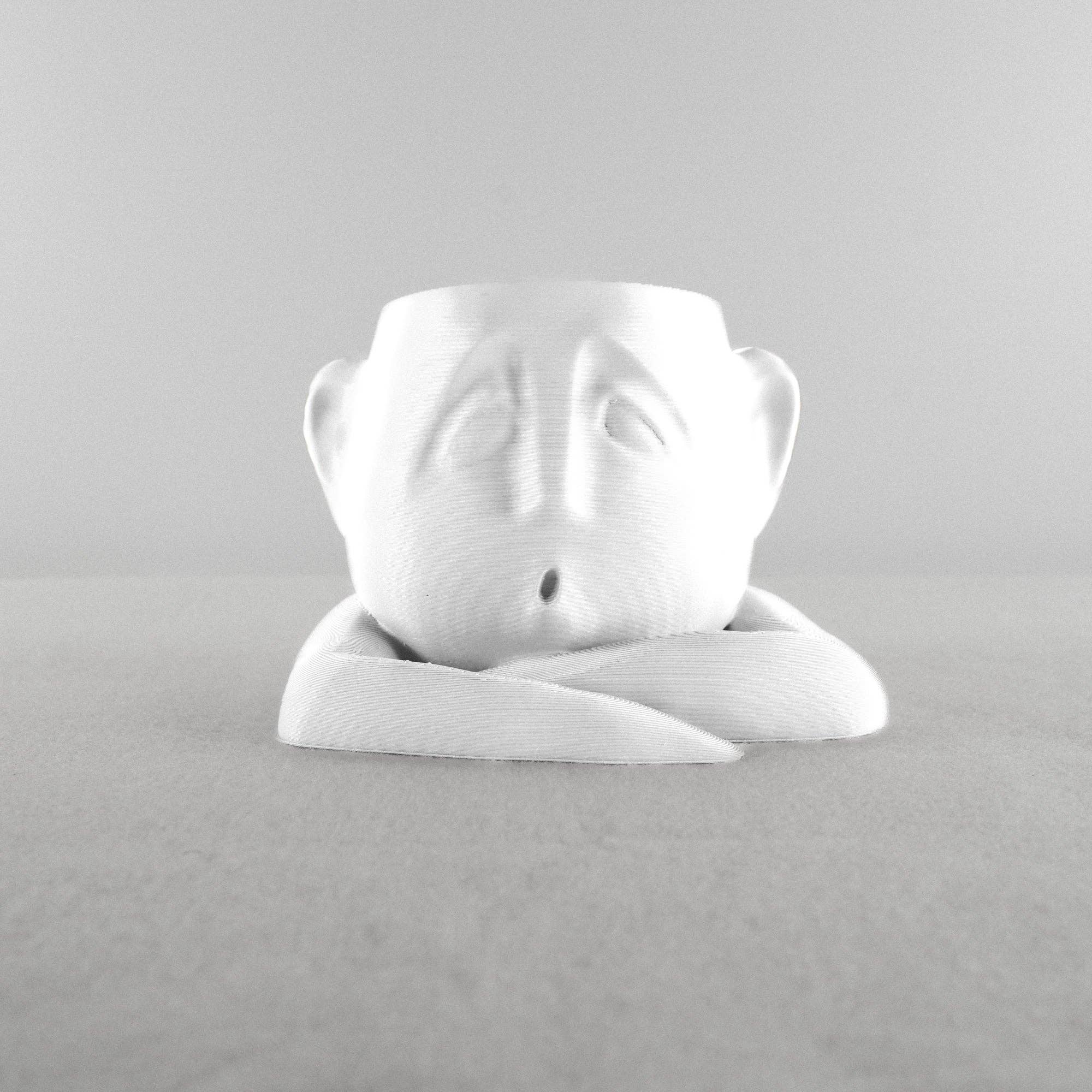 Rosebud Homegoods - Wholesale Plant Pot - Shady Air Head Planter14