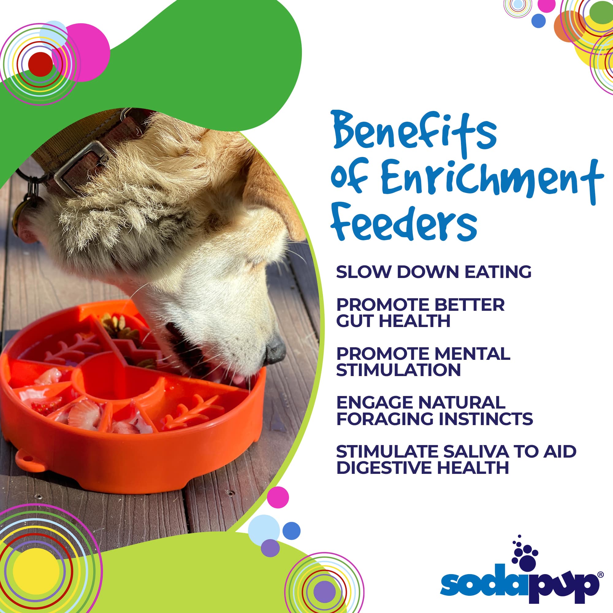 SodaPup Dog Toys - Wholesale Pet Bowl - Cat/Dog - Great Outdoors Design eBowl Enrichment Slow Feeder Bowl for5