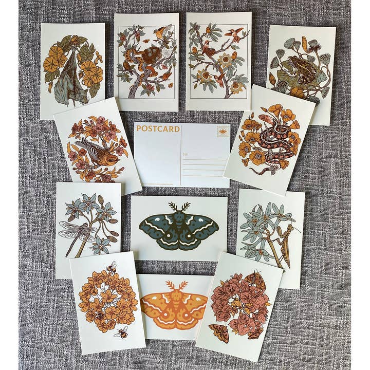 Mustard Beetle - Wholesale Postcard Set - Postcard Set