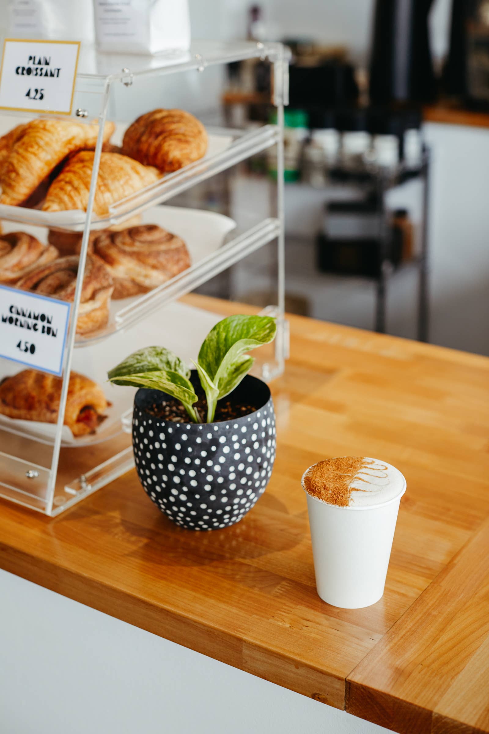 Chico Chai - Wholesale Loose Tea - 5 lb Bag of Chai1