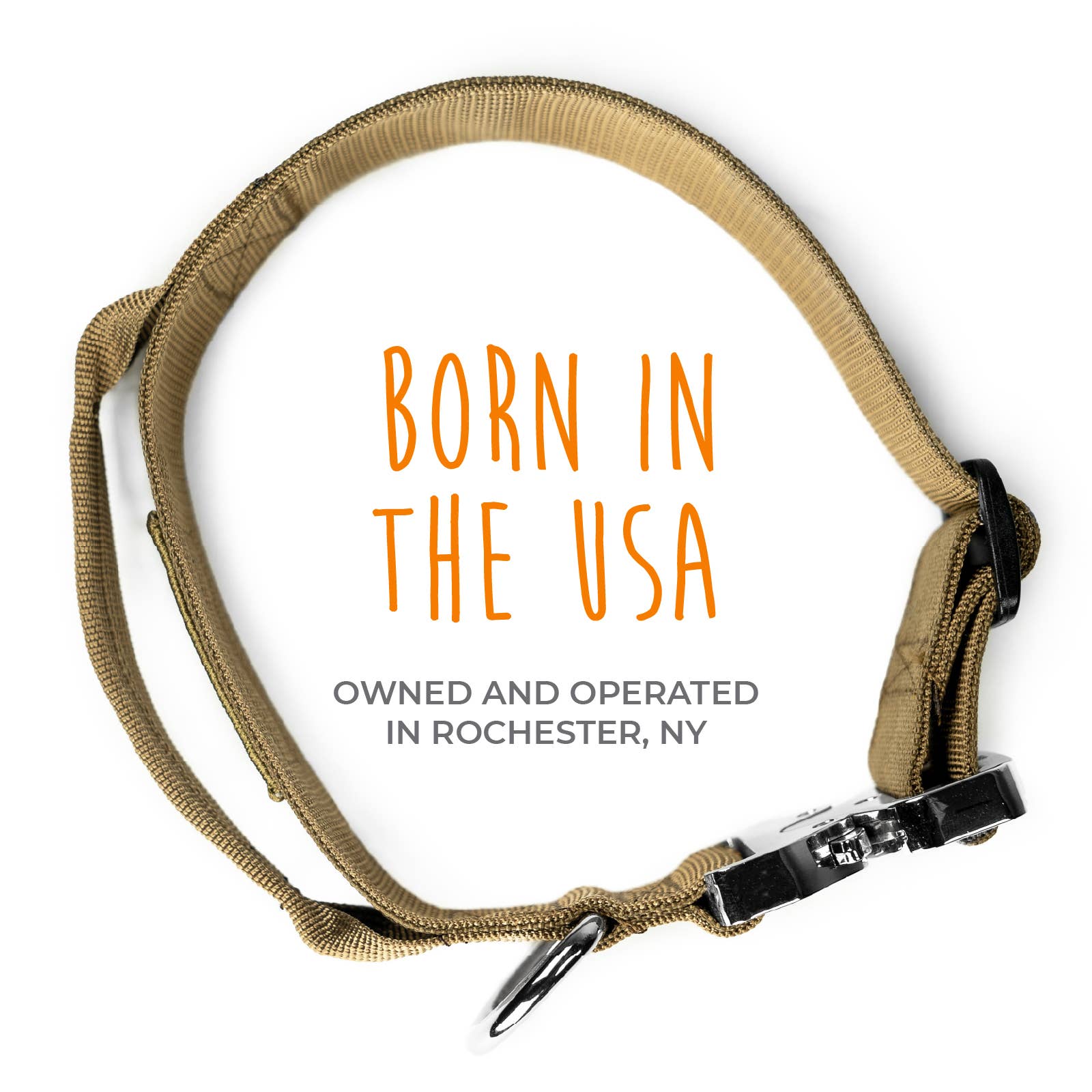 Mighty Paw – wholesale Halsband - Hund – Taktisk hundkrage7