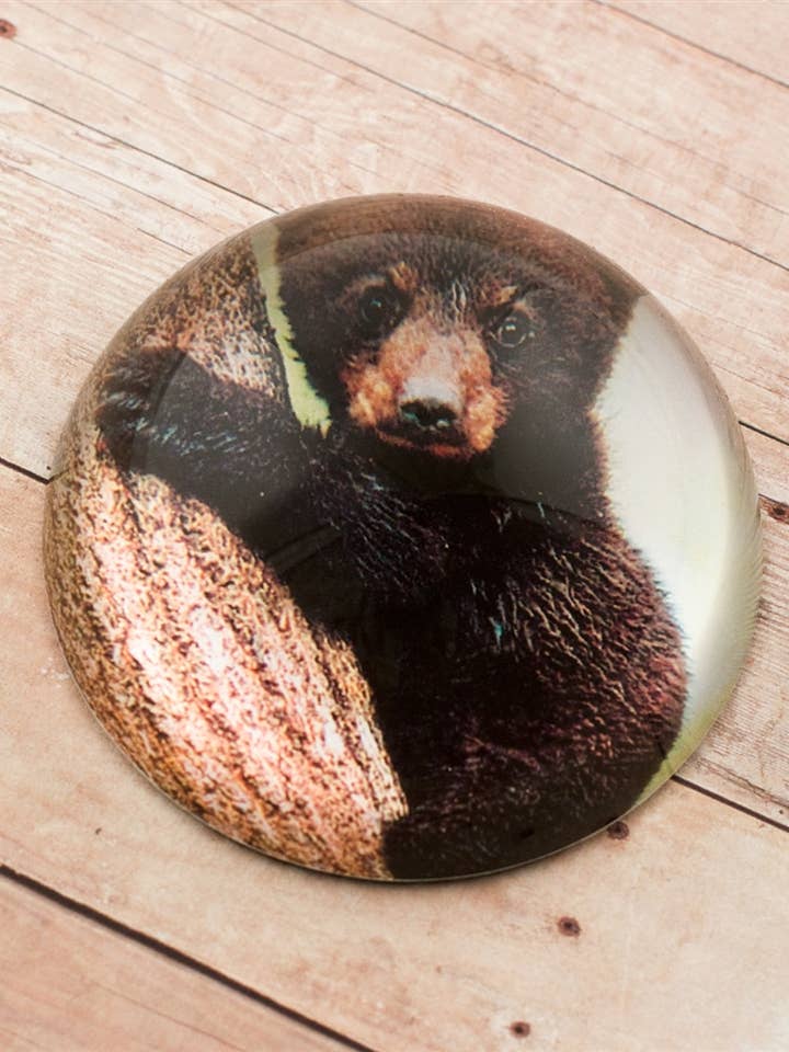 Pisapapeles de Cúpula de Cristal con Oso Negro para venta al por mayor de Value Arts