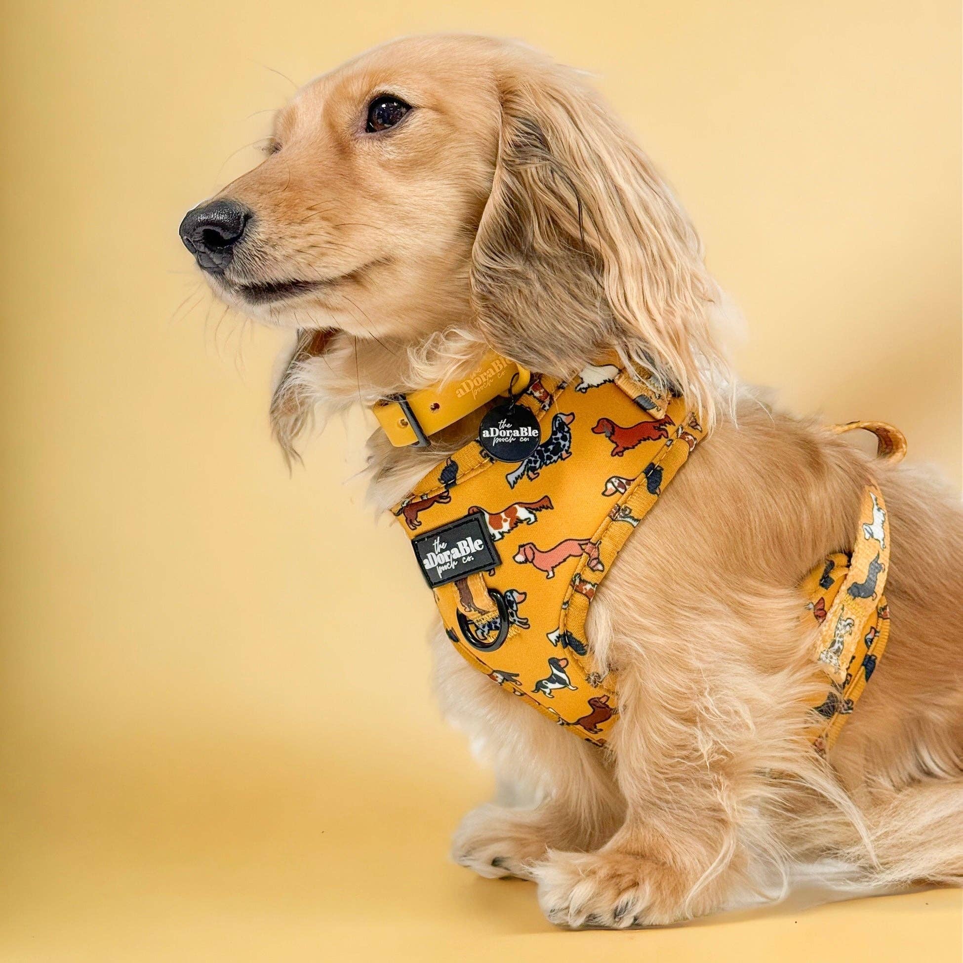 The aDoraBle Pooch Company - Wholesale Pet Harness - Dog - Adjustable Harness - Dashing Dachshunds5