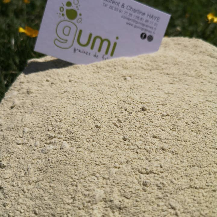 GUMI - Venta al por mayor Harina - HARINA DE LENTEJAS VERDES KRAFT 500 G