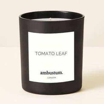 ambustum - Wholesale Jar/Filled Candle - Tomato Leaf Candle