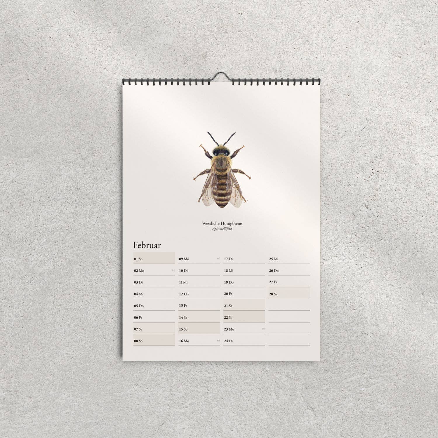 Terillu - Wholesale Calendar - Calendar 2026 – Wall Calendar Native Wild Bees2
