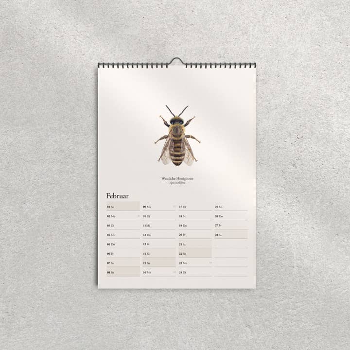 Terillu - Wholesale Calendar - Calendar 2026 – Wall Calendar Native Wild Bees2