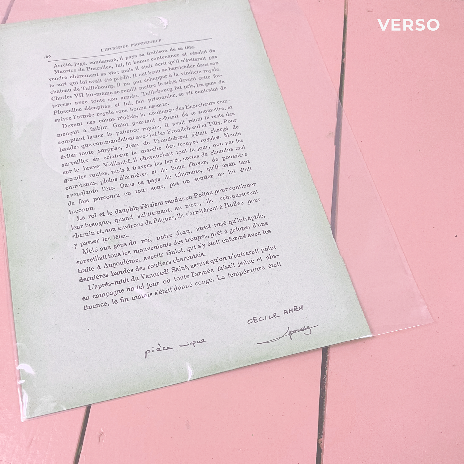 La Belette Rose - Wholesale Painting/Drawing - The Portraits — Petite Indienne1