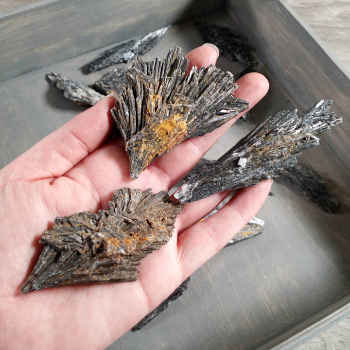 Black Kyanite Rough Angel Wings 1 Pound for wholesale by Keystone Crystals