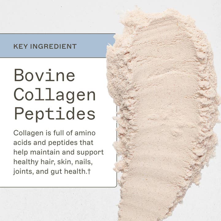 AMMD™ by Amy Myers MD® – wholesale Protein/superfood powder – Paleo Protein - Strawberries & Cream3