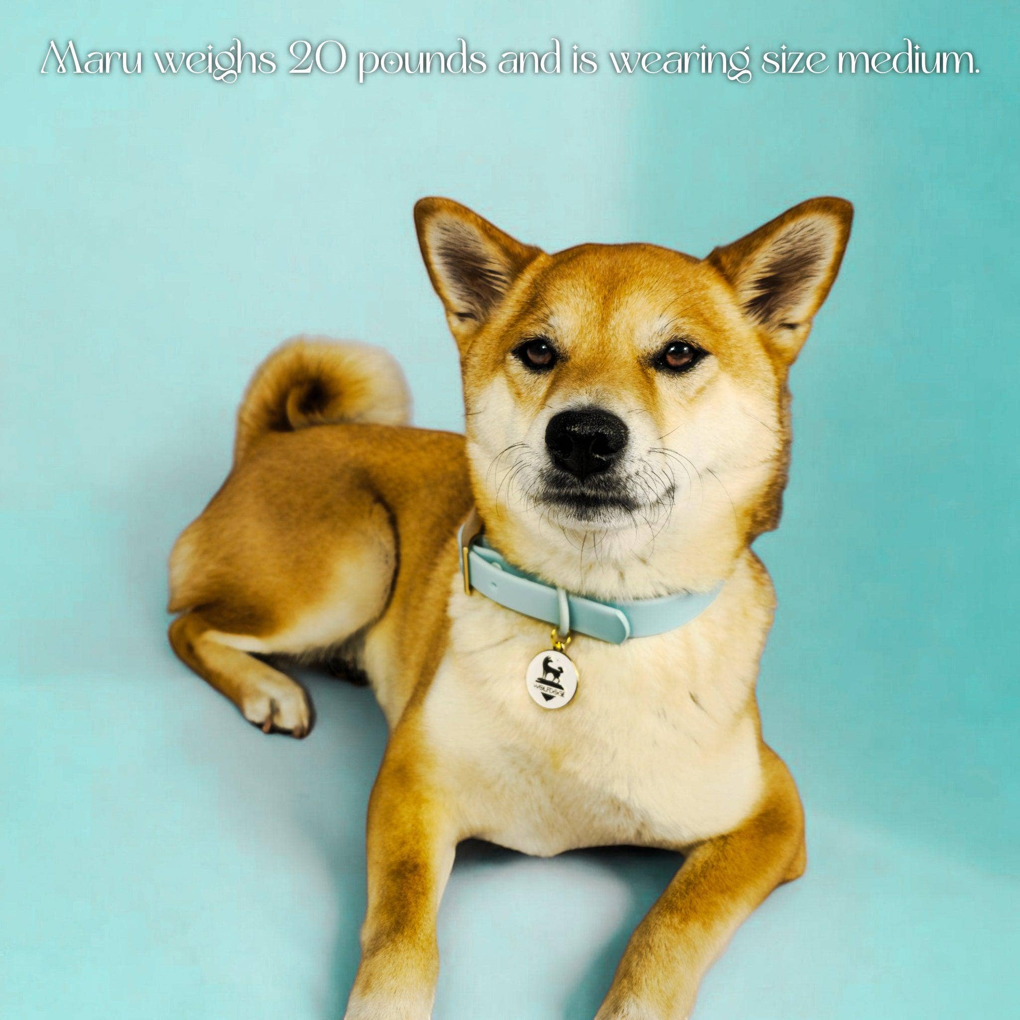 Wolfdoge - Wholesale Pet Collar - Dog - Waterproof Collar10