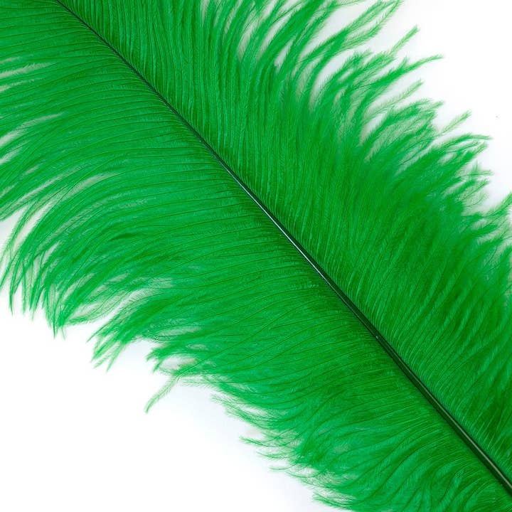 Large Ostrich Feathers - 17"+ Drabs - Kelly for wholesale by Zucker Feather Products
