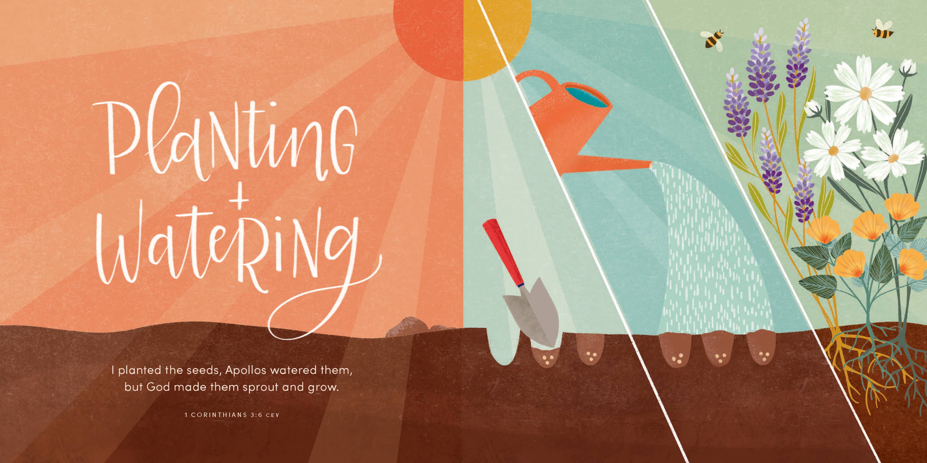 Harvest House Publishers Gift & Specialty Books - Wholesale Baby & Toddler Book (0-2) - The Kingdom of Heaven3