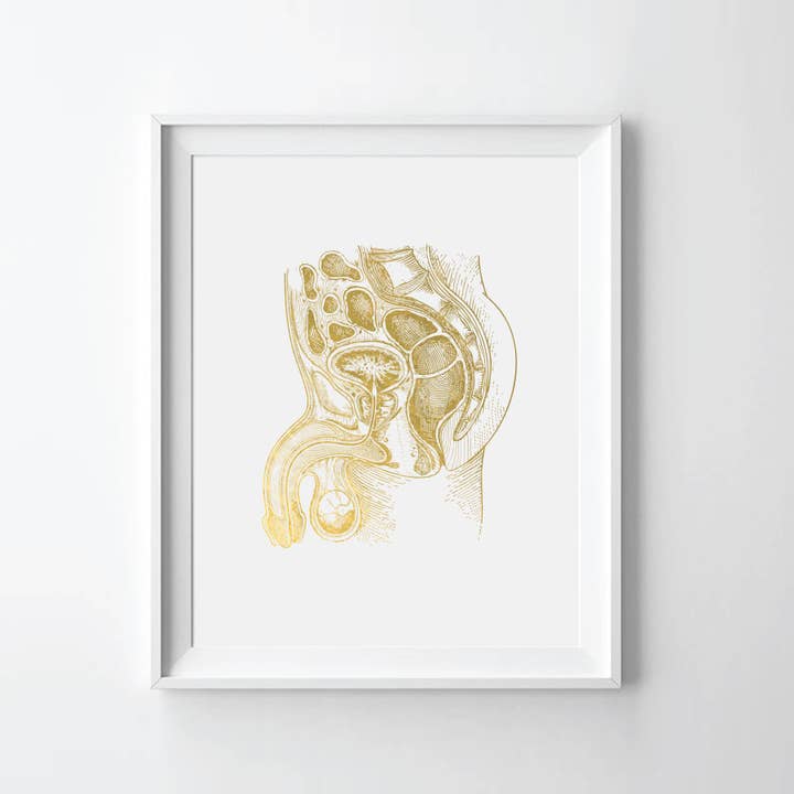 Männliches Fortpflanzungssystem Goldfolie Kunstdruck für den Großhandel von Uyeno Miyoshi