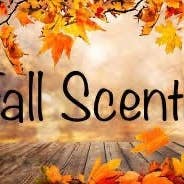 The Wright Scent - Wholesale Car Freshener - Unisex - 1-lb Fall Scented Aroma beads, Aroma Bead Air Fresheners, Car Air Freshen, Sachet Bags, Wholesale