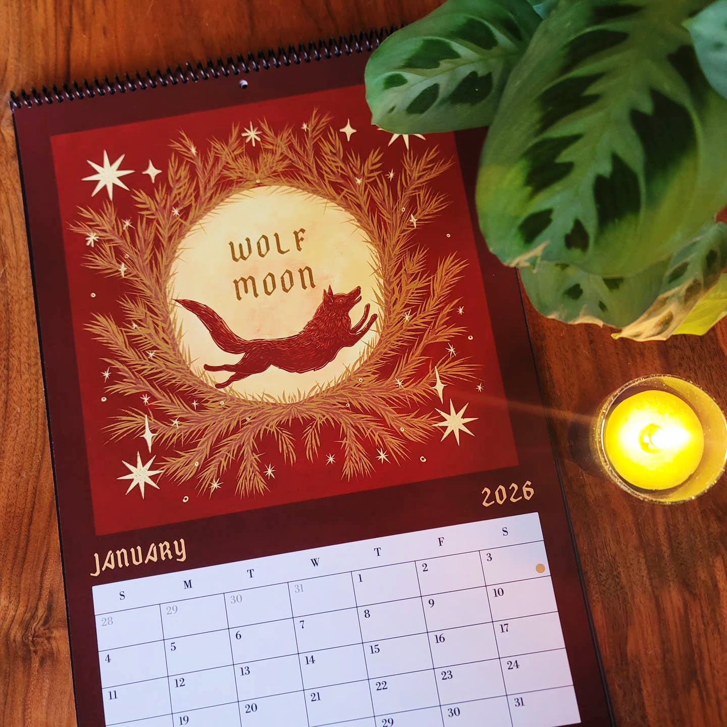 Black Moss Studio - Wholesale Calendar - 2026 Full Moon Calendar – Large 11×16.5 12 Month Calendar2