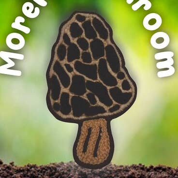 Morel Mushroom patch for wholesale by BoyerHouse