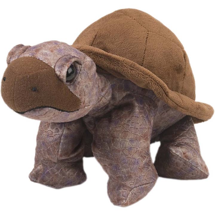 CK Tortoise Stofftier 30,5 cm für den Großhandel von Wild Republic