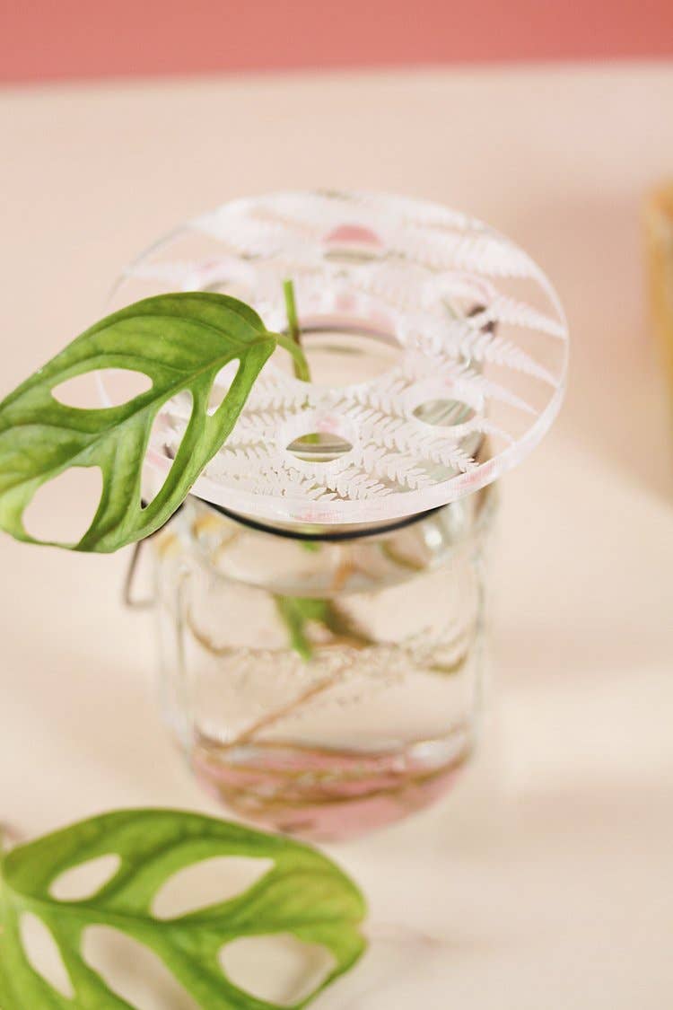 Greenterior - Wholesale Plant Pot - Bobche - Fern2