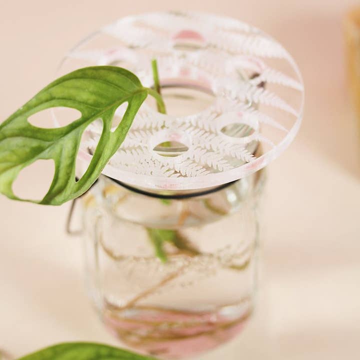 Greenterior - Wholesale Plant Pot - Bobche - Fern2