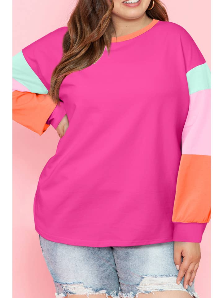 66DISCO - Wholesale T-Shirt - Women's - Color Block Round Neck Long Sleeve T Shirt (S-2XL)