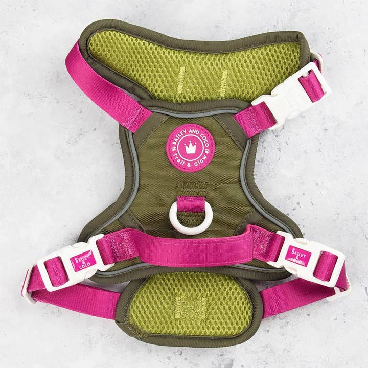 Trail & Glow Dog Harness - COLOUR DROPS® - Olive it Hot for wholesale by Bailey and Coco