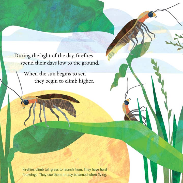 Sleeping Bear Press - Wholesale Book - Kids - Light the Sky, Firefly! Picture Book6
