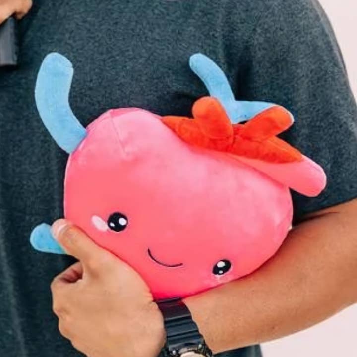 Heart Plush Organ - I aorta to tell you how much I love yo for wholesale by Nerdbugs