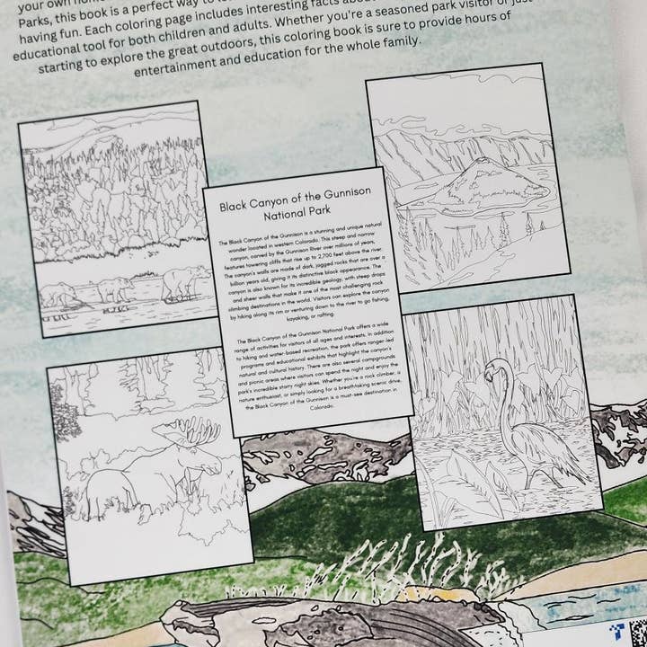 National Parks and Beyond - Wholesale Coloring & Activity Book - Adult - Color Your Way through the National Parks, Coloring book7