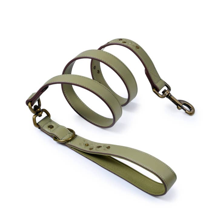 Silver-Powered Freshness Microfiber Vegan Leather Dog Leash for wholesale by Blueberry Pet