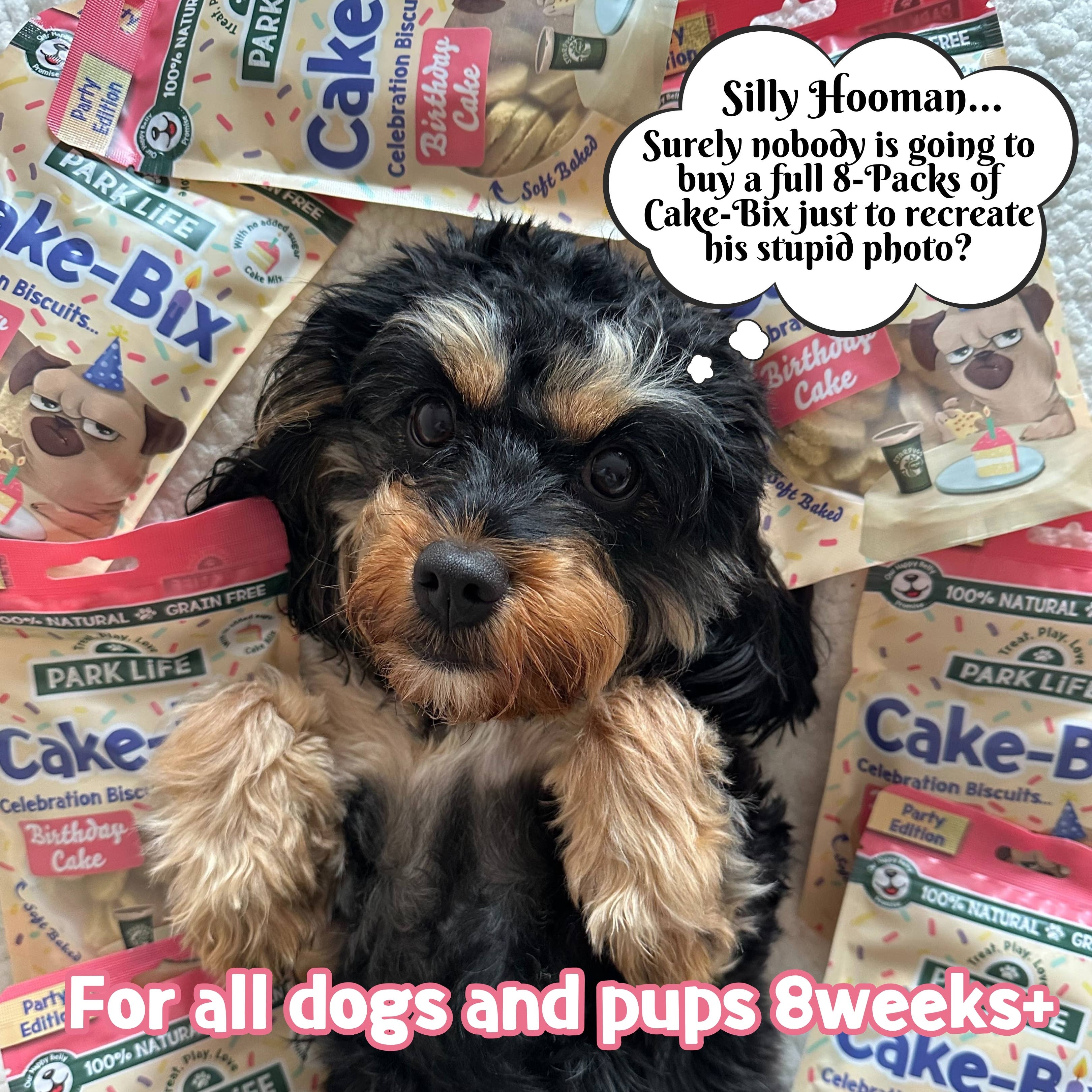 PARK LiFE - Wholesale Pet Biscuit - Dog - Cake-Bix Dog Biscuits Birthday Cake Flavour 100g6