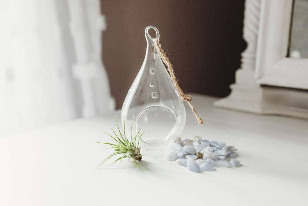 The Simply Crafty Shop - Wholesale Terrarium - Pear Shape Terrarium Kit- Semi-Precious Stone31
