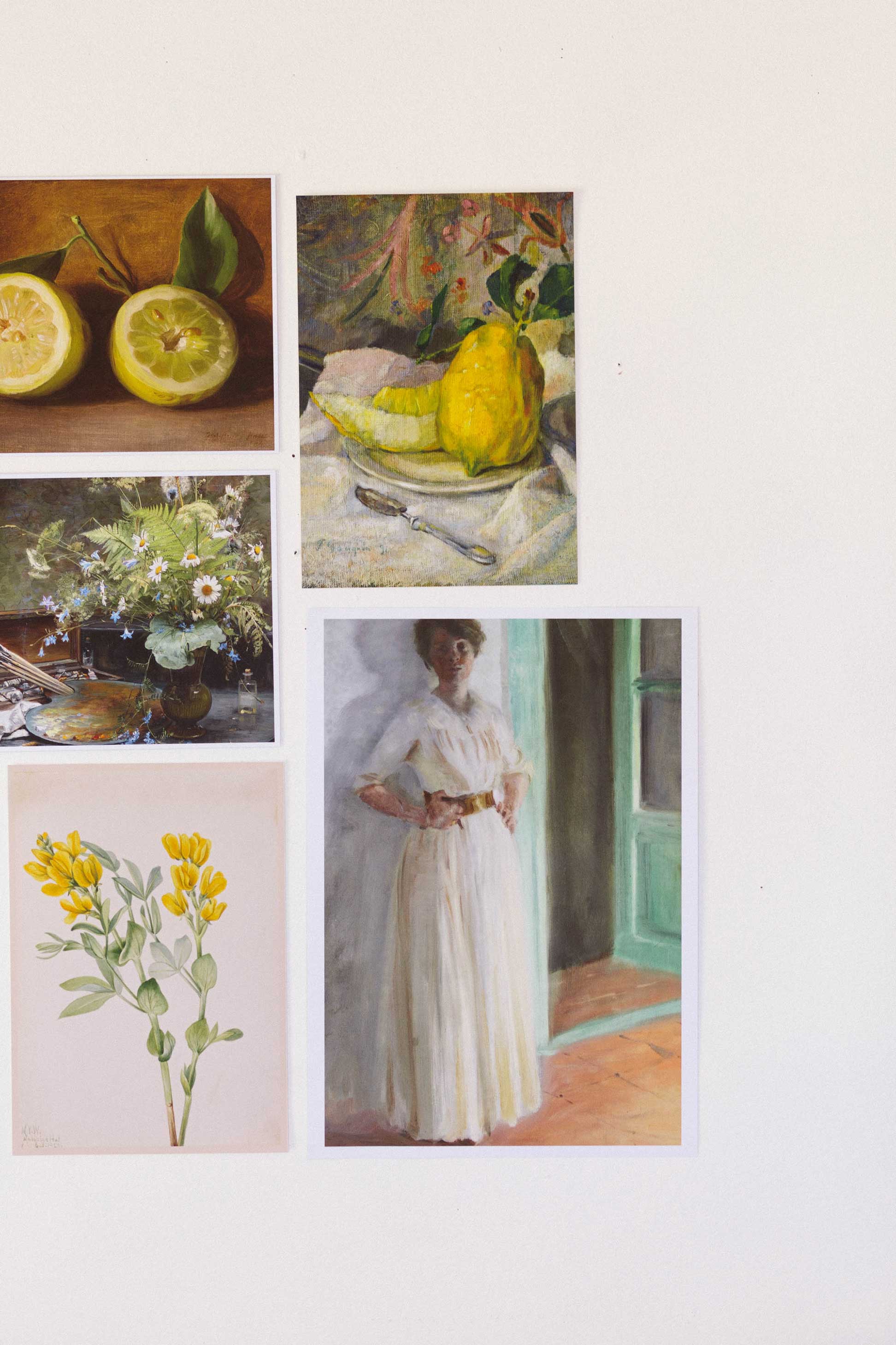 Lazybones - Wholesale Art Print - Art print set - The Naturalist4