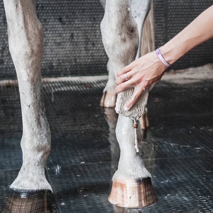 Horse Soap Frenky Lewis - Wholesale Horse Conditioner/Grooming Aid - Natural Horse Shampoo Bar Scrub & Shine4