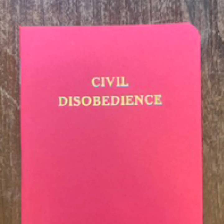 Burgerlijke Ongehoorzaamheid Zaknotitieboekjes voor wholesale door Scallywag Letterpress