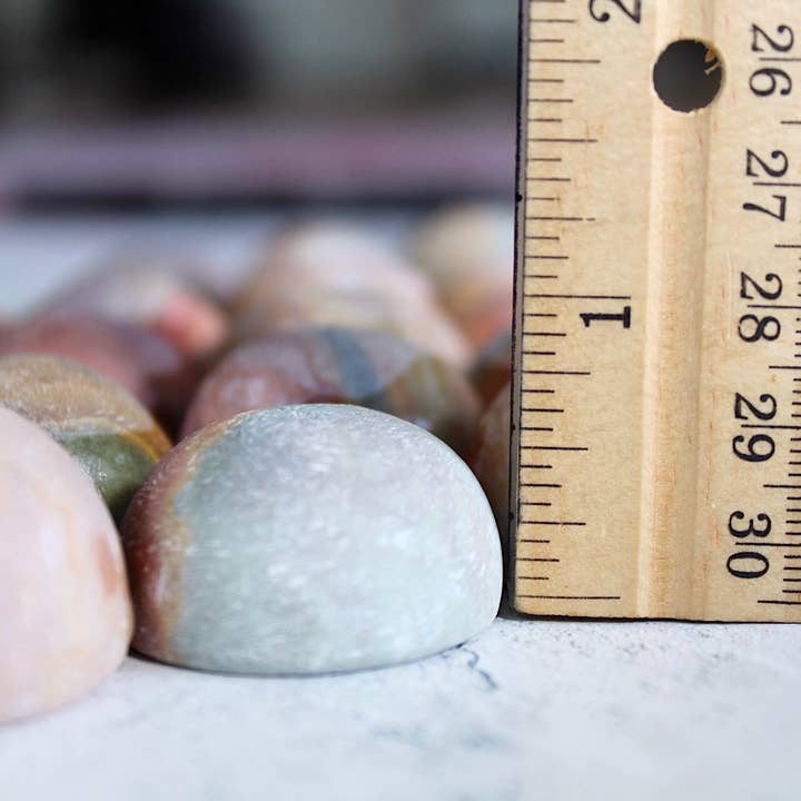 Pebble House - Wholesale Spiritual stone/crystal - Polychrome Jasper 1/2 Polished "Button"8