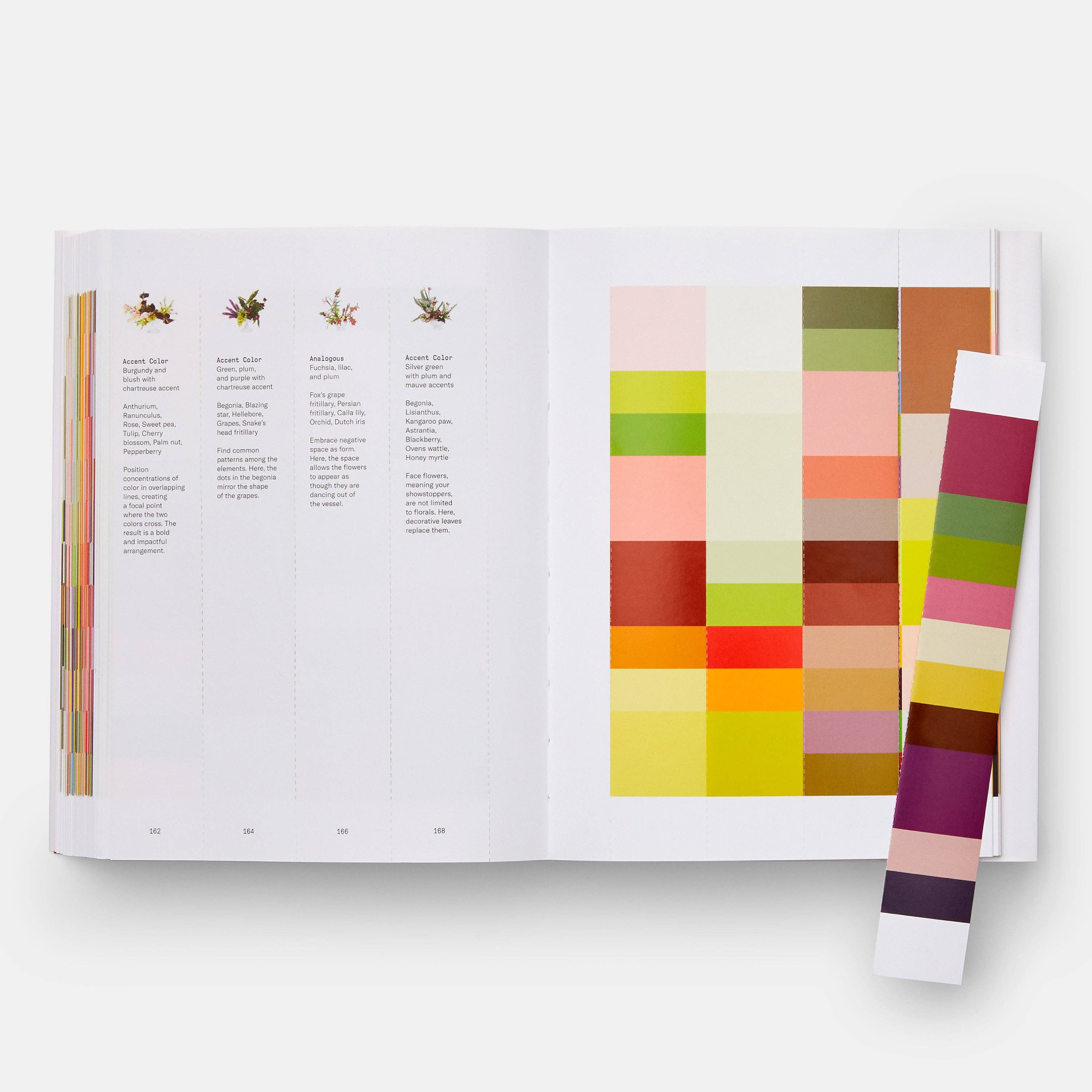 Phaidon Press - Vente Livre – adulte - Théorie de la couleur des fleurs7