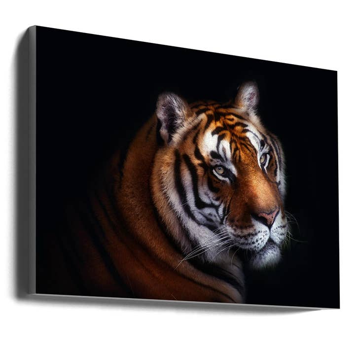 Arte murale Tigre per la vendita all'ingrosso da parte di GTA ART