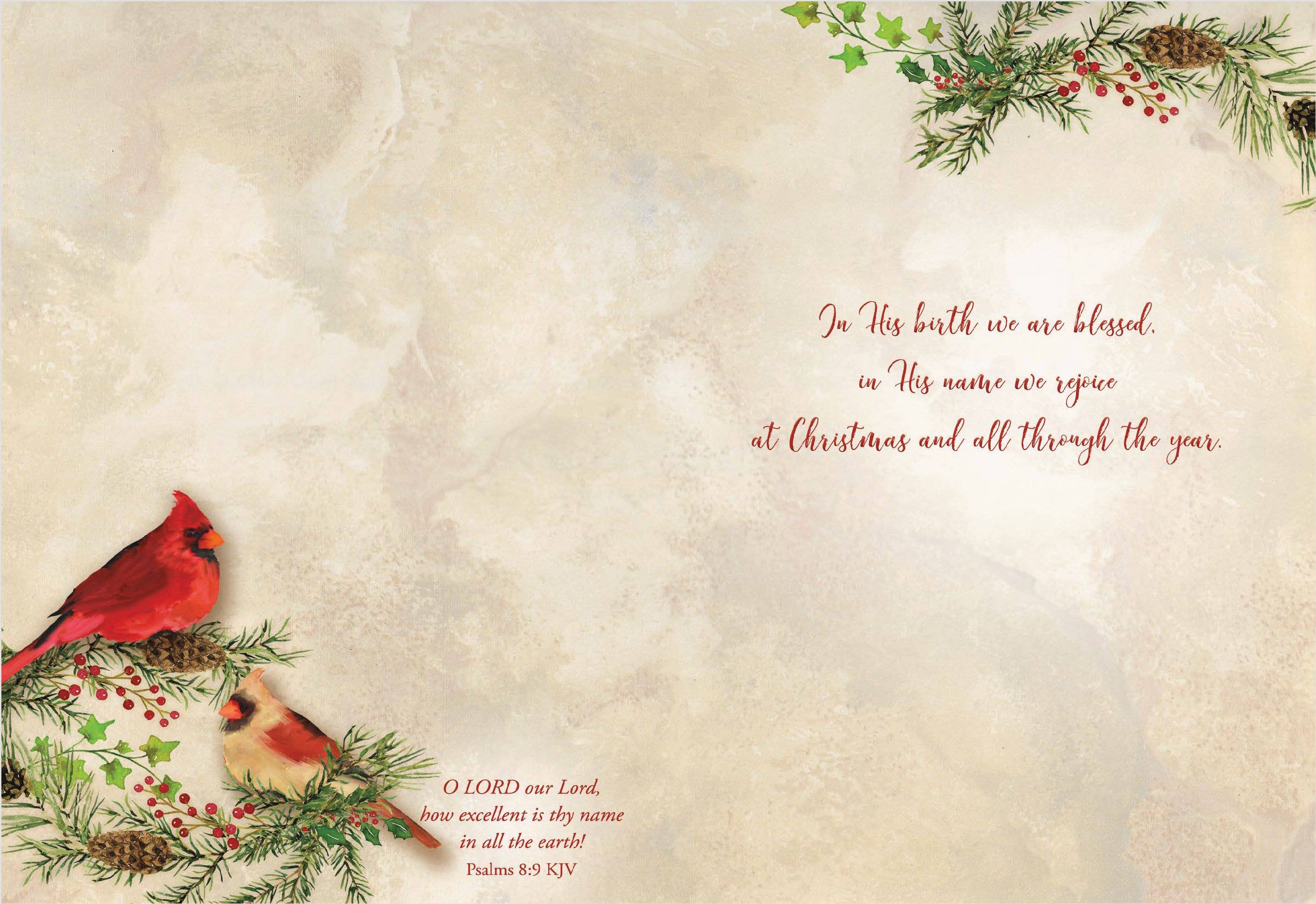 Crown Point Graphics - Wholesale Christmas Card - Religious Boxed Christmas Cards, Joy to the World, 12 Cards16