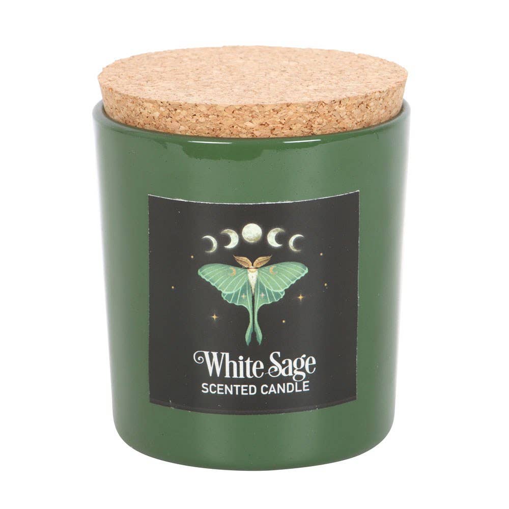 Pacific Trading - Wholesale Jar/Filled Candle - Dark Forest Luna Moth White Sage Candle1