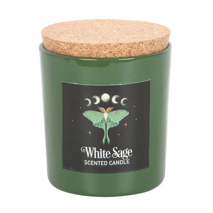 Pacific Trading - Wholesale Jar/Filled Candle - Dark Forest Luna Moth White Sage Candle1