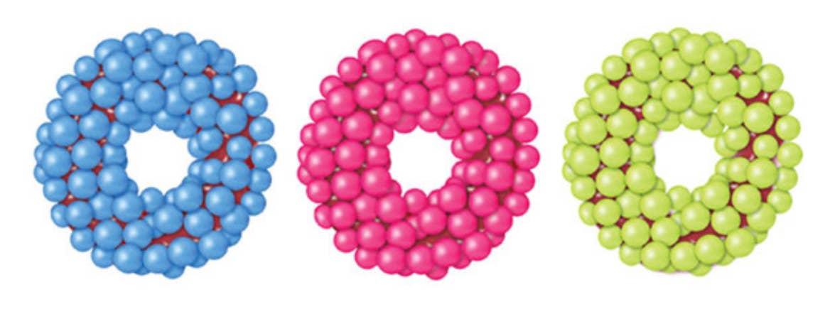 O'Shea's Candies Sweet Shop - Wholesale Gummy - Unique Cosmic Gummy Rings  “Sour” 1/3LB Flaire Bag 0